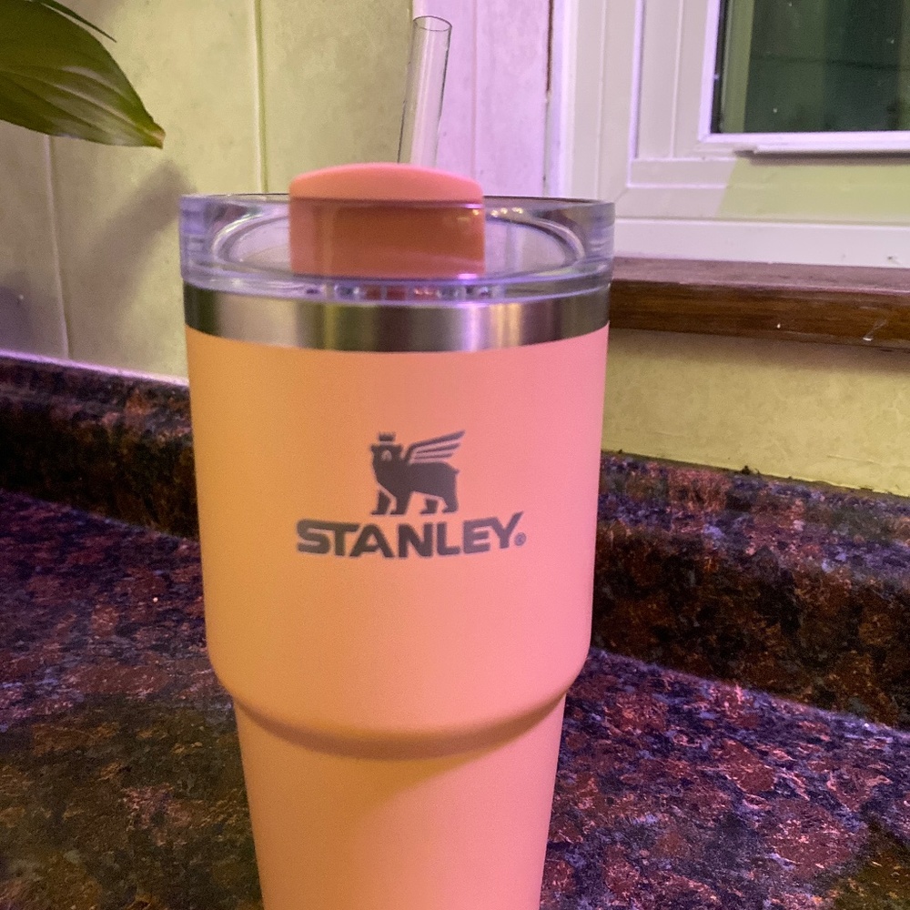 Stanley 20oz cup